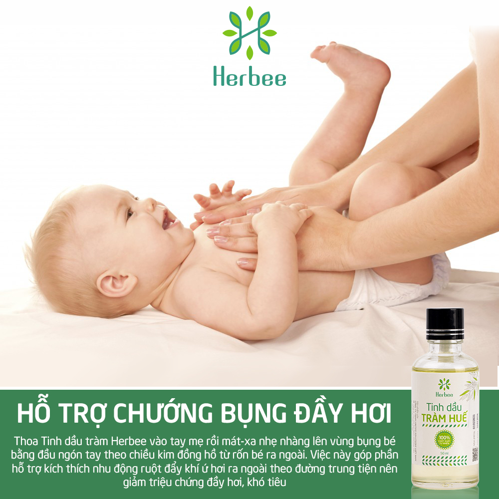 Tinh Dầu Tràm Huế Herbee Nguyên Chất