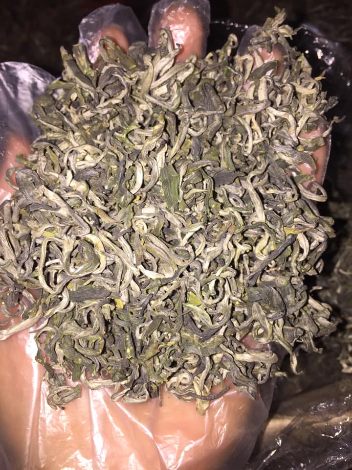 Trà shan tuyết cổ thụ 1 tôm 1 lá Hà Giang