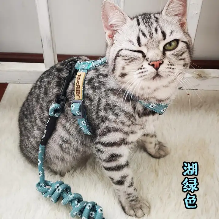 cat harness lazada