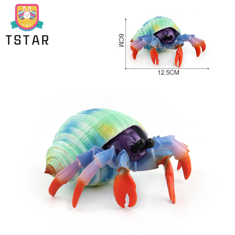 Simulation Marine Animal Model Figurines Lifelike Squid Hermit Crab Shark Action Figure Educational Toy For Kids Gifts