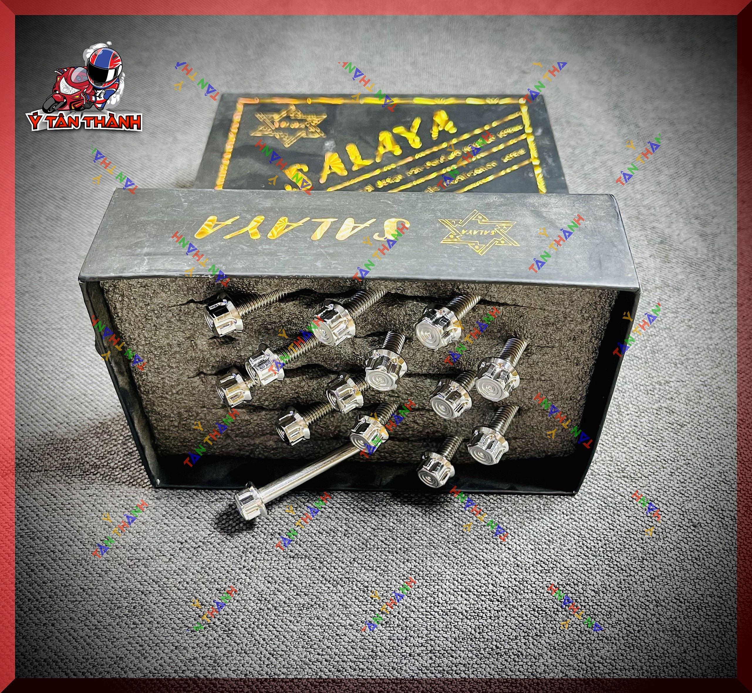 Bộ Ốc Lốc Máy Salaya V2 cho vision 2016-2019 MS82