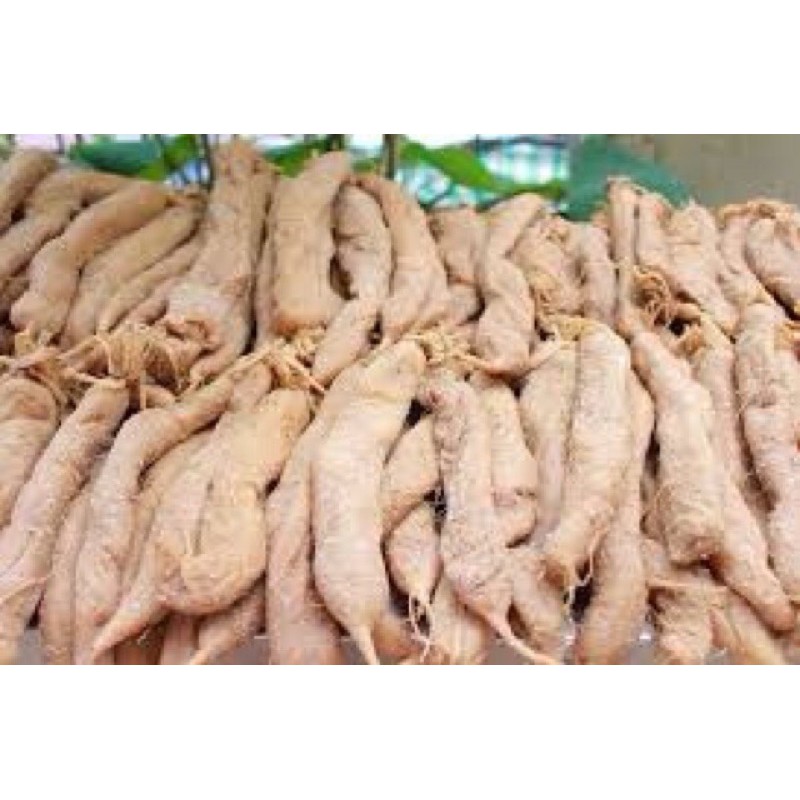 1kg Củ cải muối ngon đặc biệt