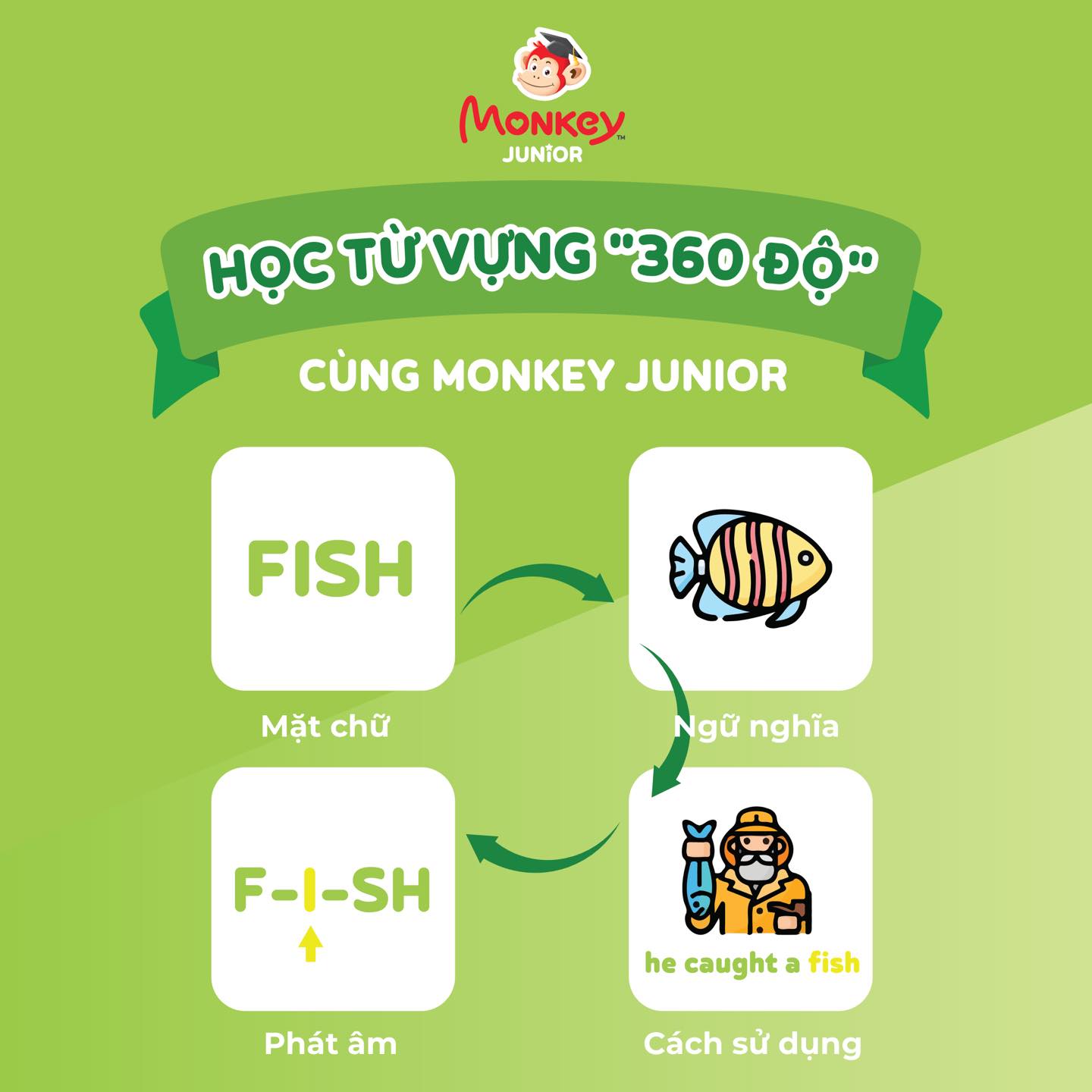 Ngoại ngữ cho trẻ em Monkey junior 1 năm