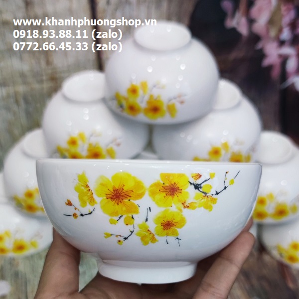 [HCM]bộ chén sứ ăn cơm - chén sứ ăn cơm