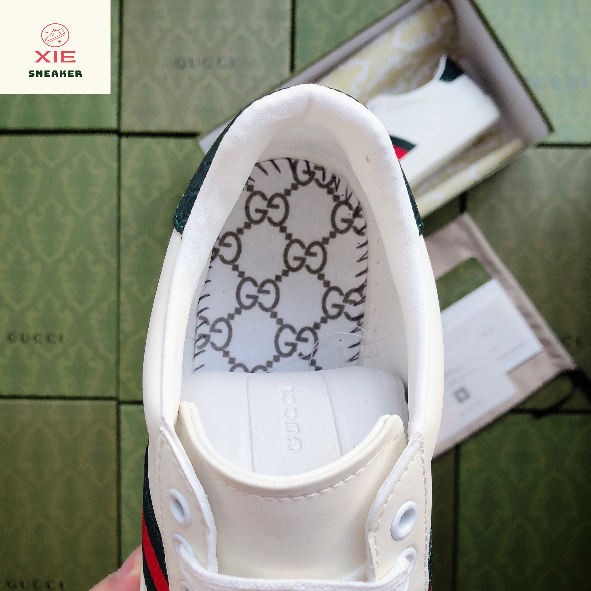 Giày Gucci ACE Trơn - 1.1 + [Tặng thêm 1 bộ dây + FreeShip + Full Box + Bill + Phụ Kiện]