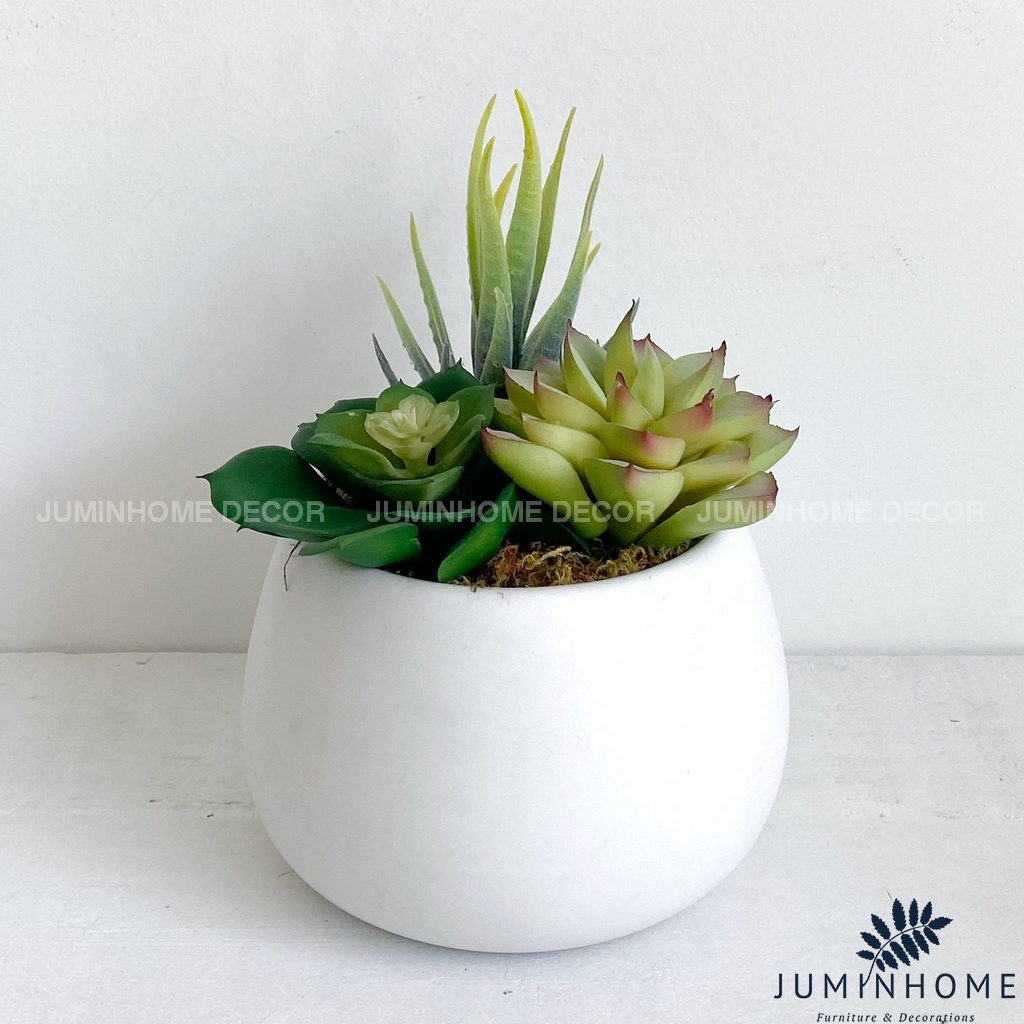 Cây giả Decor - Chậu sen đá hạt dẻ mini Decor trang trí để bàn