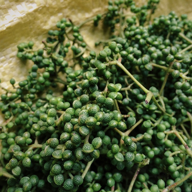 Giống cây Mắc Khén