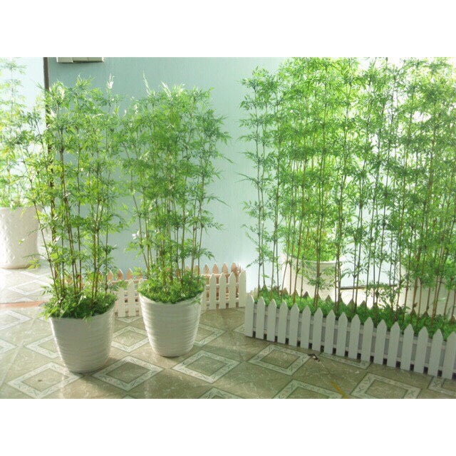 Cây giả - Trúc giả cao cấp 1,5m - 2m nhiều lá xịn - lá xanh non