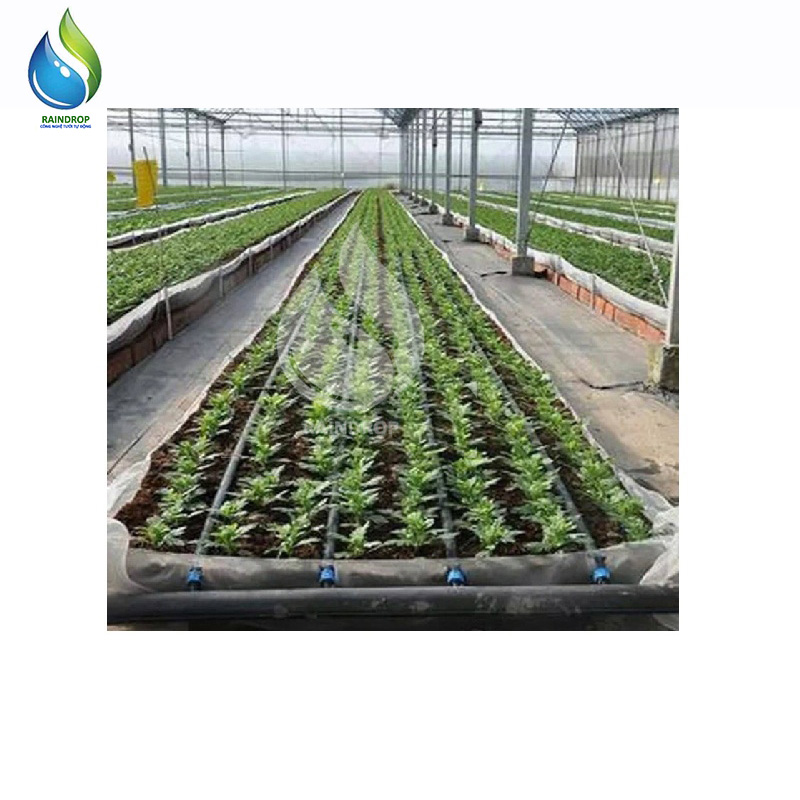 Dây tưới nhỏ giọt bù áp dày 0.2 phi 16mm