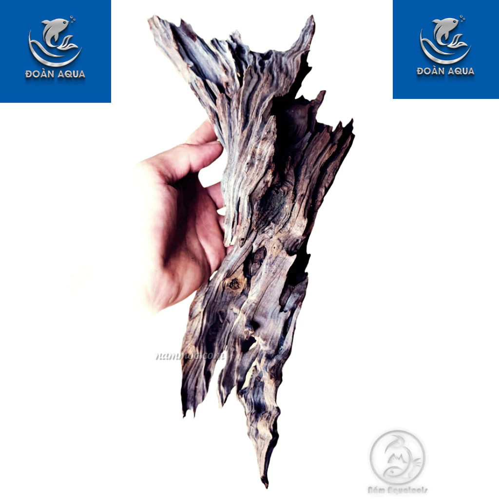 SIÊU RẺ Lũa Săn Đá / Lũa San Đá Miếng  | Chuyên dùng cho bể cá Thủy Sinh - Vân Lũa Cực Đẹp, Set bể Cực Đã