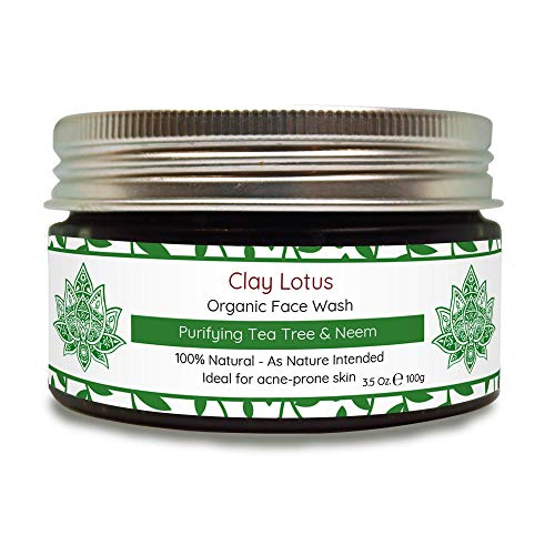 lotus face wash for oily acne prone skin