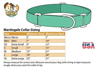 country brook martingale collar