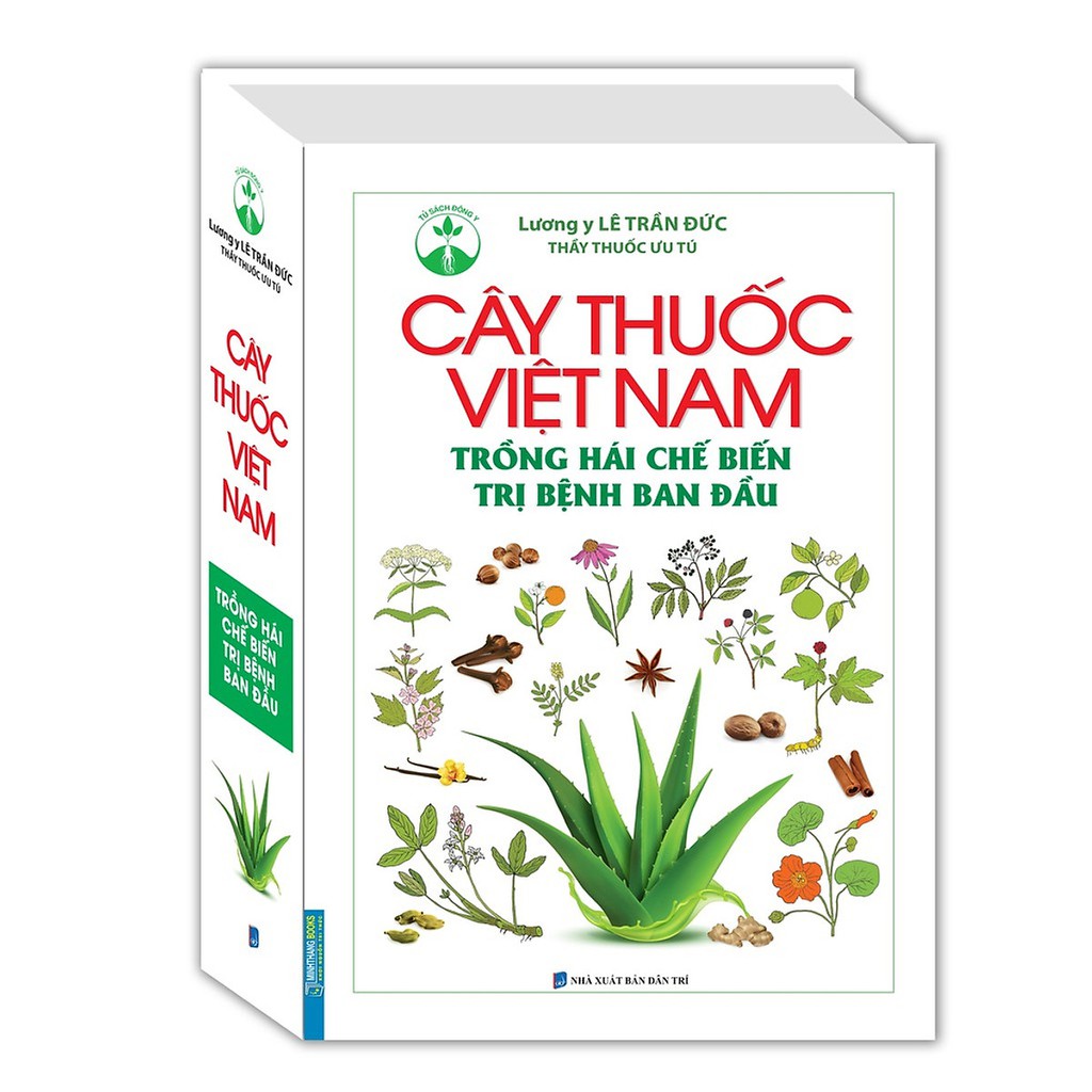 Cây thuốc việt nam trồng hái chế biến trị bệnh ban đầu