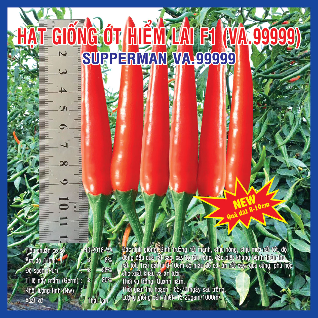 Hạt giống Ớt Hiểm Lai F1 Supperman (VA.99999) – 5gram