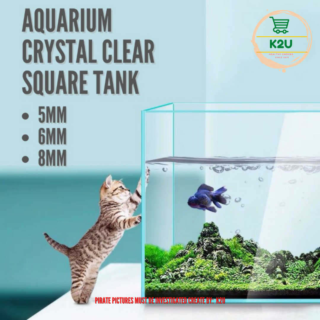 Top Fin Gallon Glass Aquarium! | atelier-yuwa.ciao.jp