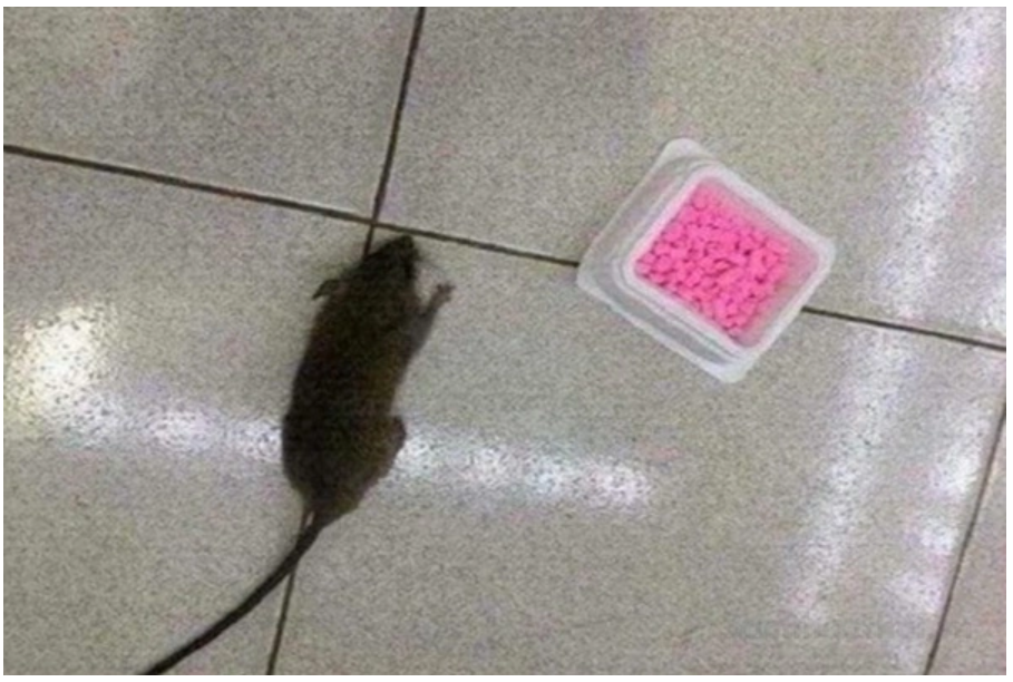 Viên Diệt Chuột ARS RAT KILLER