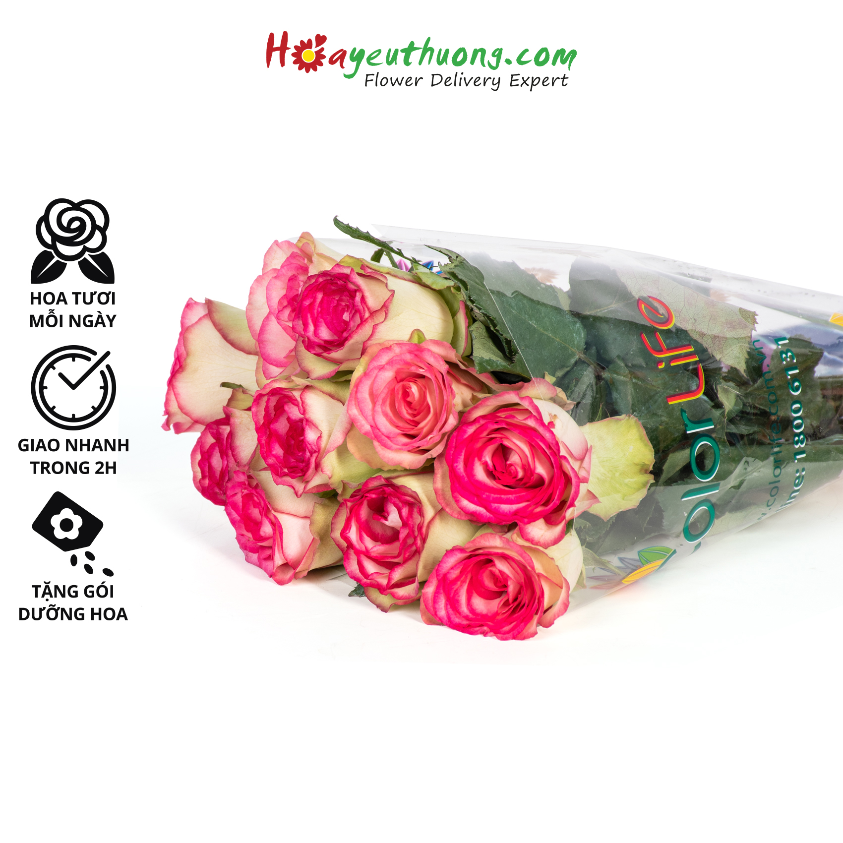 Hoa Hồng Salimia Hoayeuthuong - hoa tươi Đà Lạt trang trí nhà cửa thumbnail