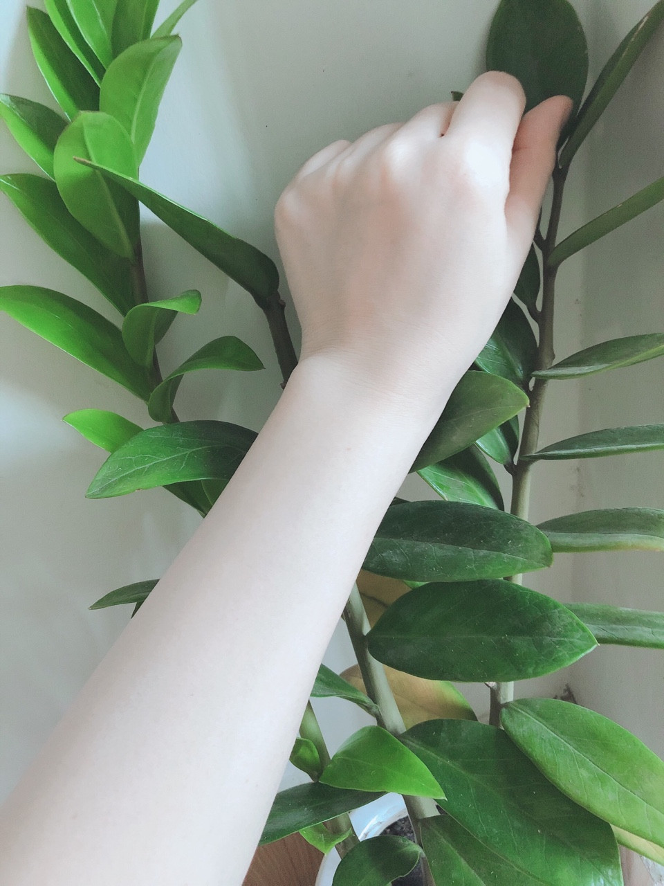 KEM Ủ TRẮNG _ DƯỠNG TRẮNG DA BODY SIÊU CẤP