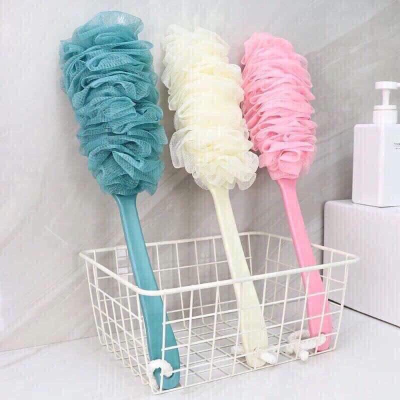 [HCM]Cây chà lưng Hàn Quốc