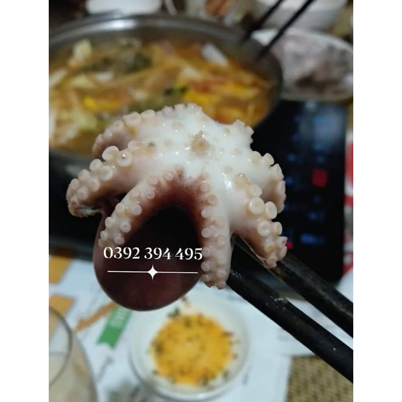 Bạch Tuộc Sữa Giòn [Giao HỎA TỐC 2H Hà Nội]