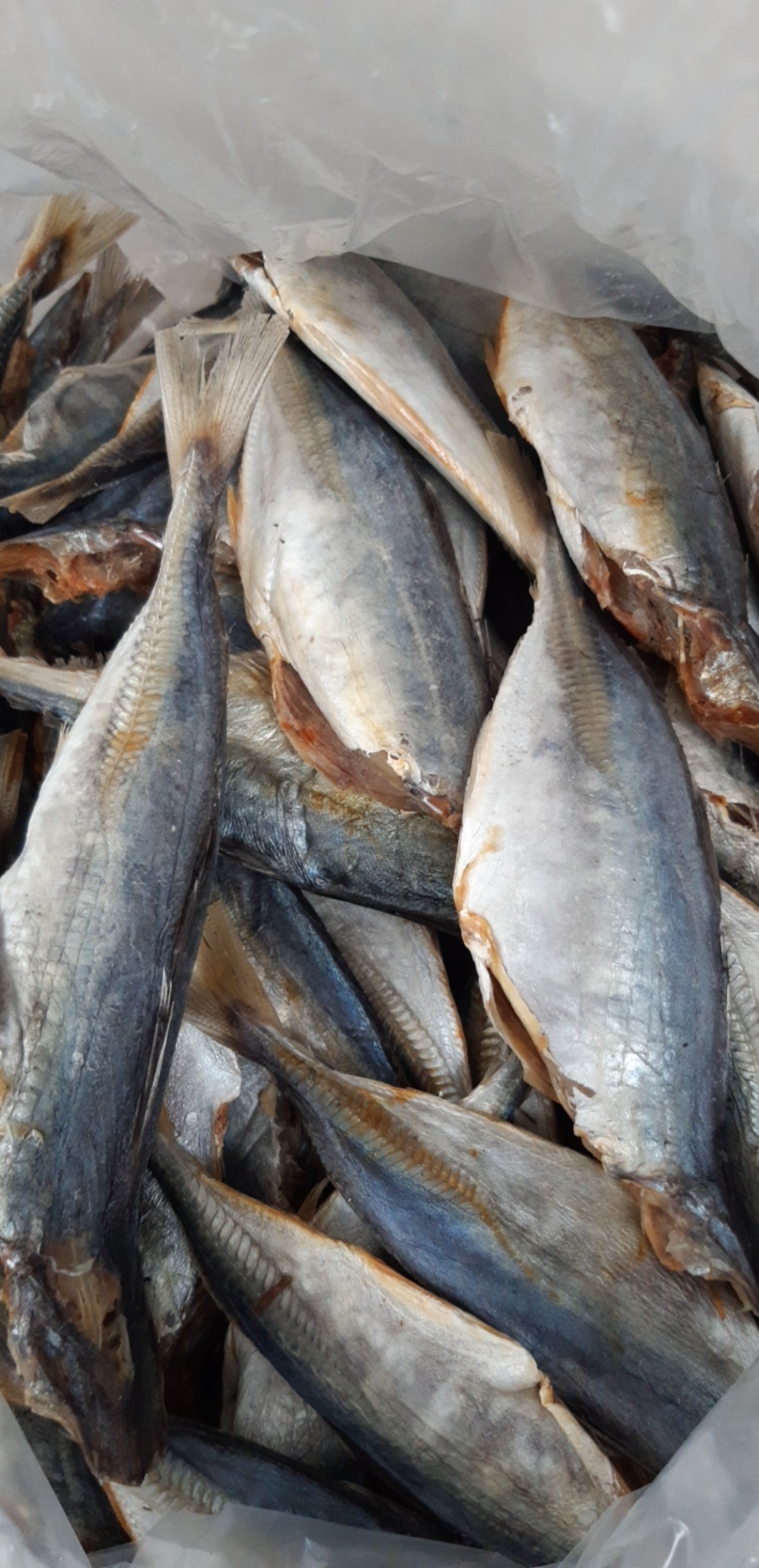 1KG CÁ NỤC KHÔ Vị hơi mặn
