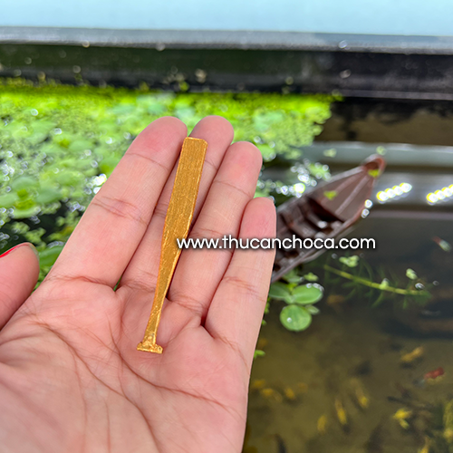 Thuyền xuồng nổi trang trí hồ cá (Mô hình)
