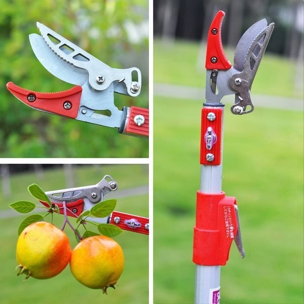 Kéo cắt tỉa cành cây, kéo cắt trái cây trên cao 3m