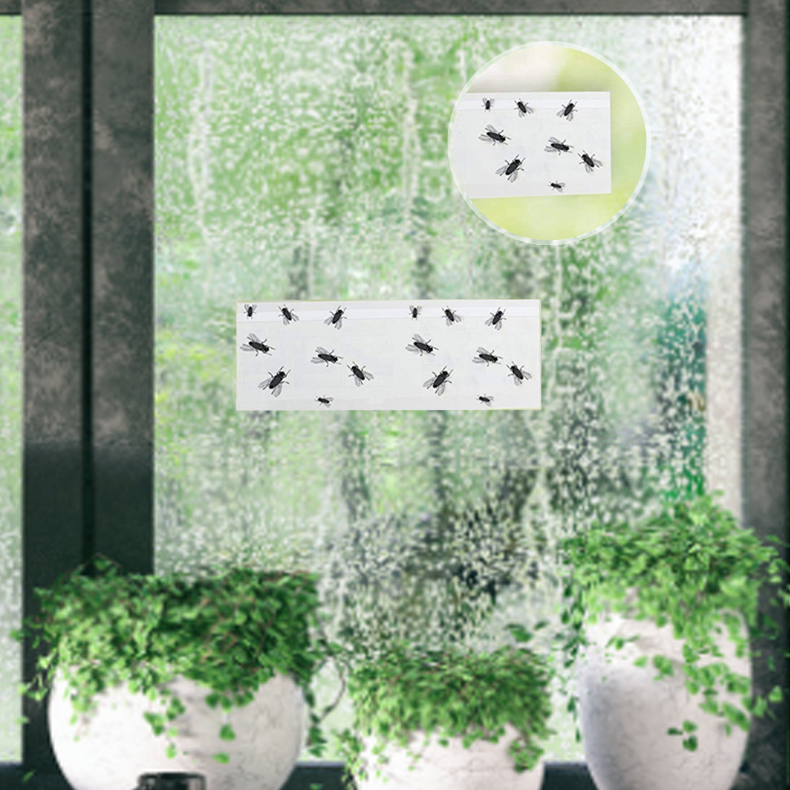 Effective Fly Paper Traps Transparent Fly Stickers Effective Fruit Fly Traps Catch Flies with Strong Adhesive Pest Glue Traps for Indoors Window Sticky Paper