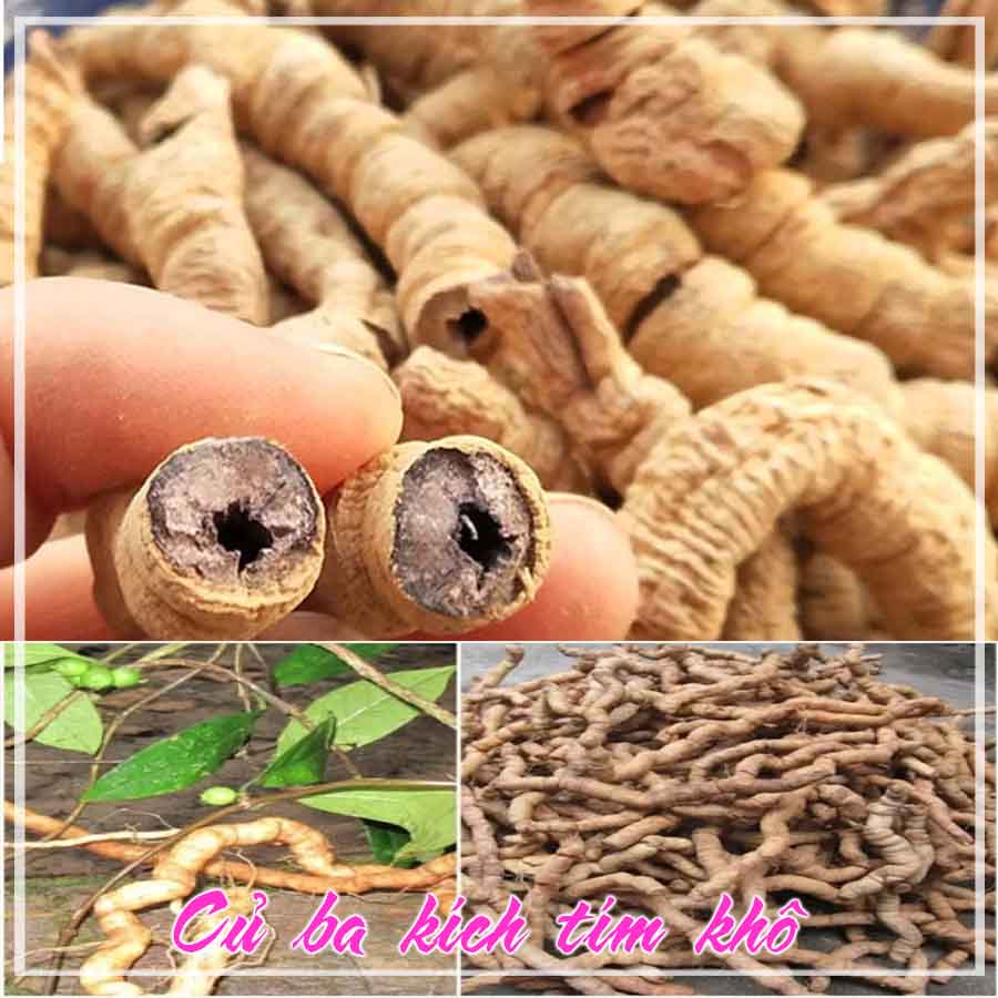 Củ ba kích tím khô 500gram
