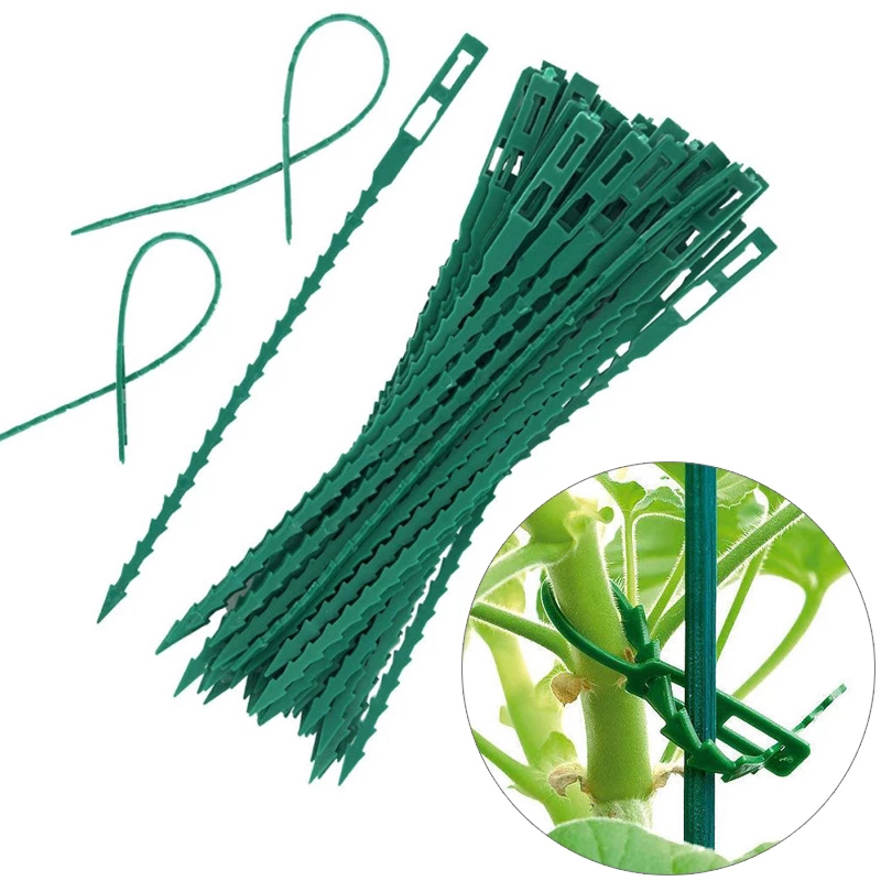 50/100pcs%20Reusable%20Plastic%20Plant%20Support%20Clips%20clamps%20Plants%20Hanging%20Vine%20Garden%0D%0A%20ZHANGBEI%20-%20Image%203