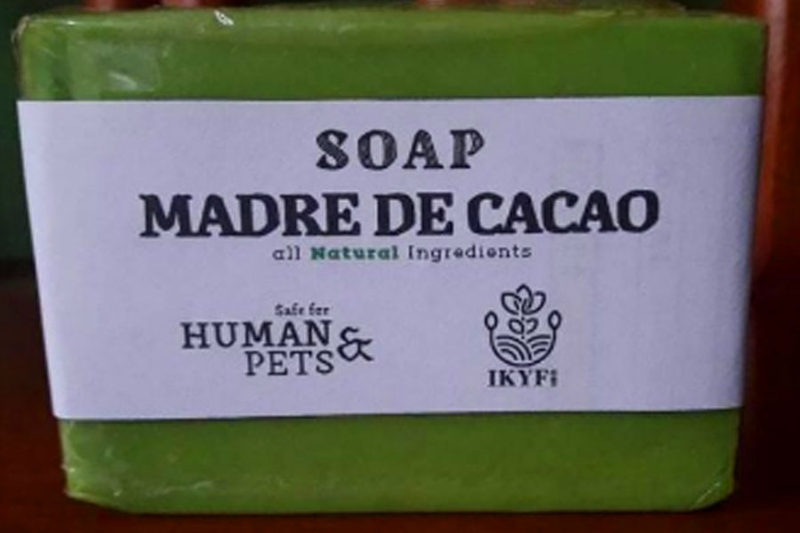 All Naturals Madre de Cacao Soap, Anti Fungal Soap for HUMANS Lazada PH