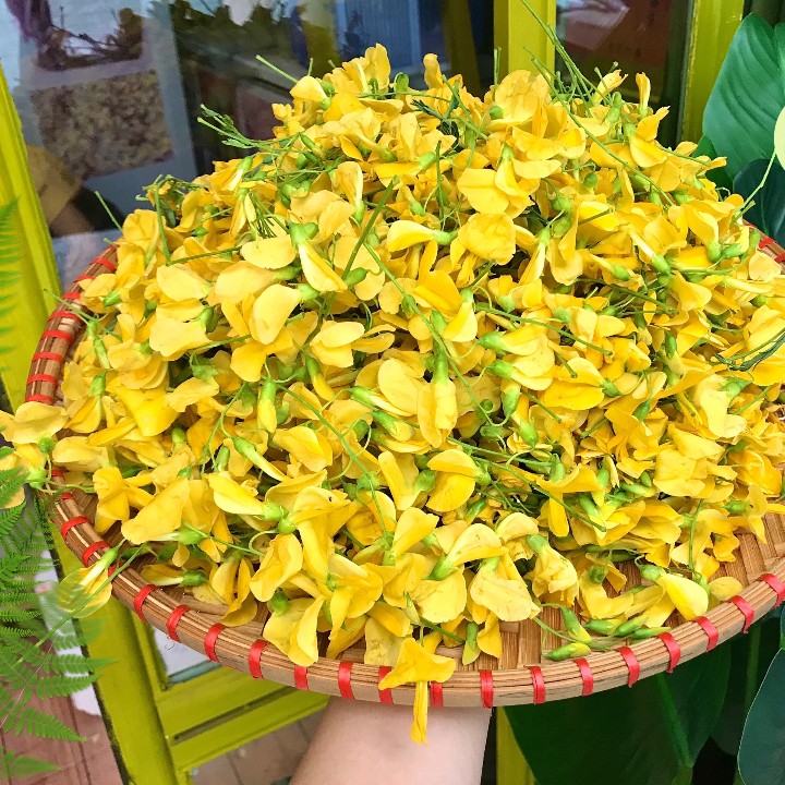 Hạt giống bông điên điển gói 1gr