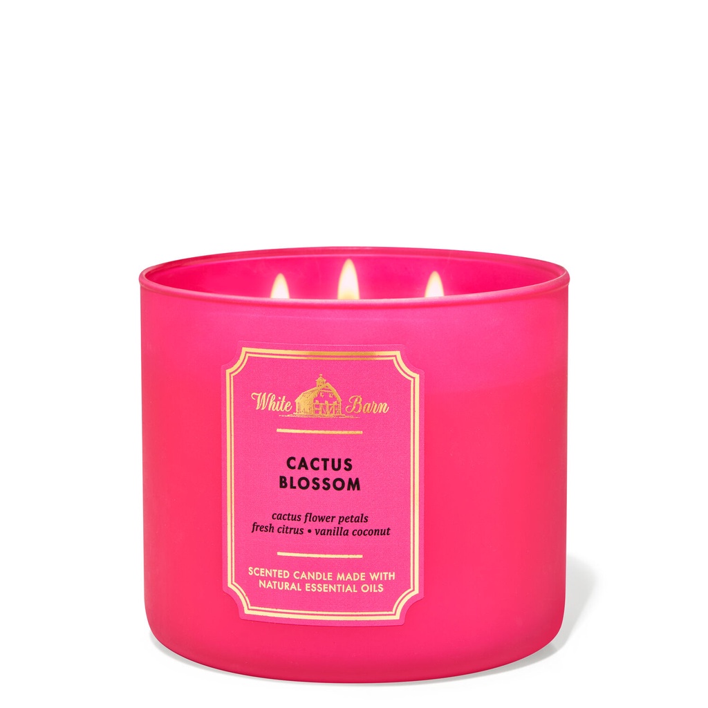 NHẬP MỸ - NẾN THƠM BA BẤC BATH&BODYWORKS