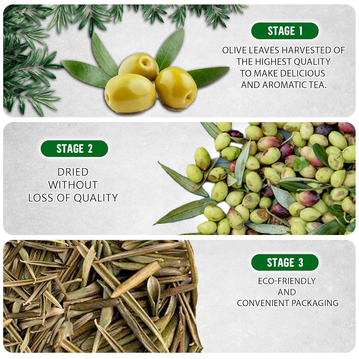 Olive%20Leaf%20Tea%20Loose%20Leaf%20%E2%80%93%204%20oz%20Olive%20Tea%20%E2%80%93%20Olive%20Tea%20Leaf%20%E2%80%93%20Olive%20Leaf%20Tea%20Bulk%20%E2%80%93%20Olive%20Leaf%20Whole%20%E2%80%93%20Caffeine%20Free%20%E2%80%93%20Loose%20Leaf%20Herbal%20Tea%20-%20Olive%20Leaf%20Tea%20For%20High%20Blood%20Pressure%20-%20Image%203