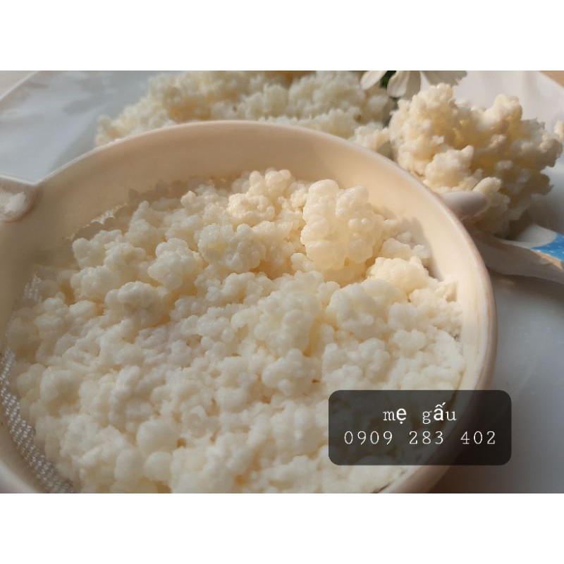 1 phần nấm sữa kefir + 1 muỗng gỗ/sứ