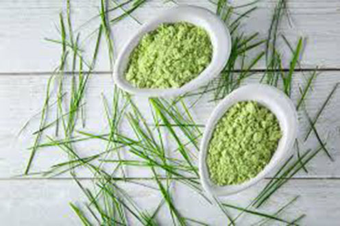 500g Bột cỏ lúa mì hữu cơ nguyên chất 100%