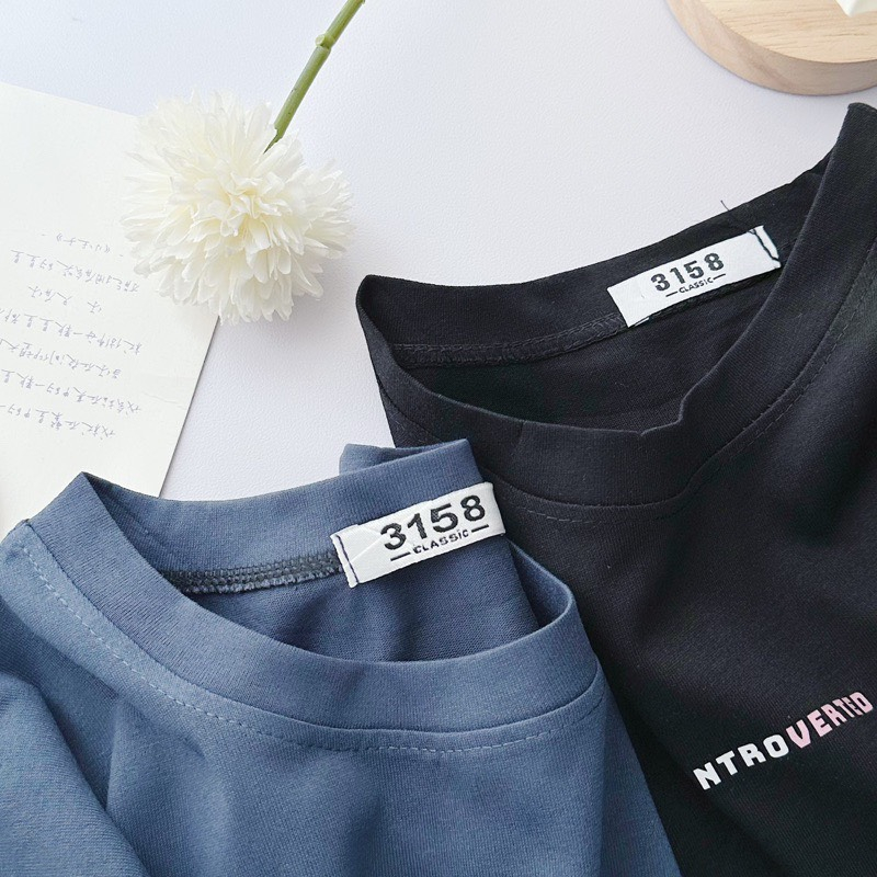 Áo thun 3158 form rộng mẫu INTROVERTED