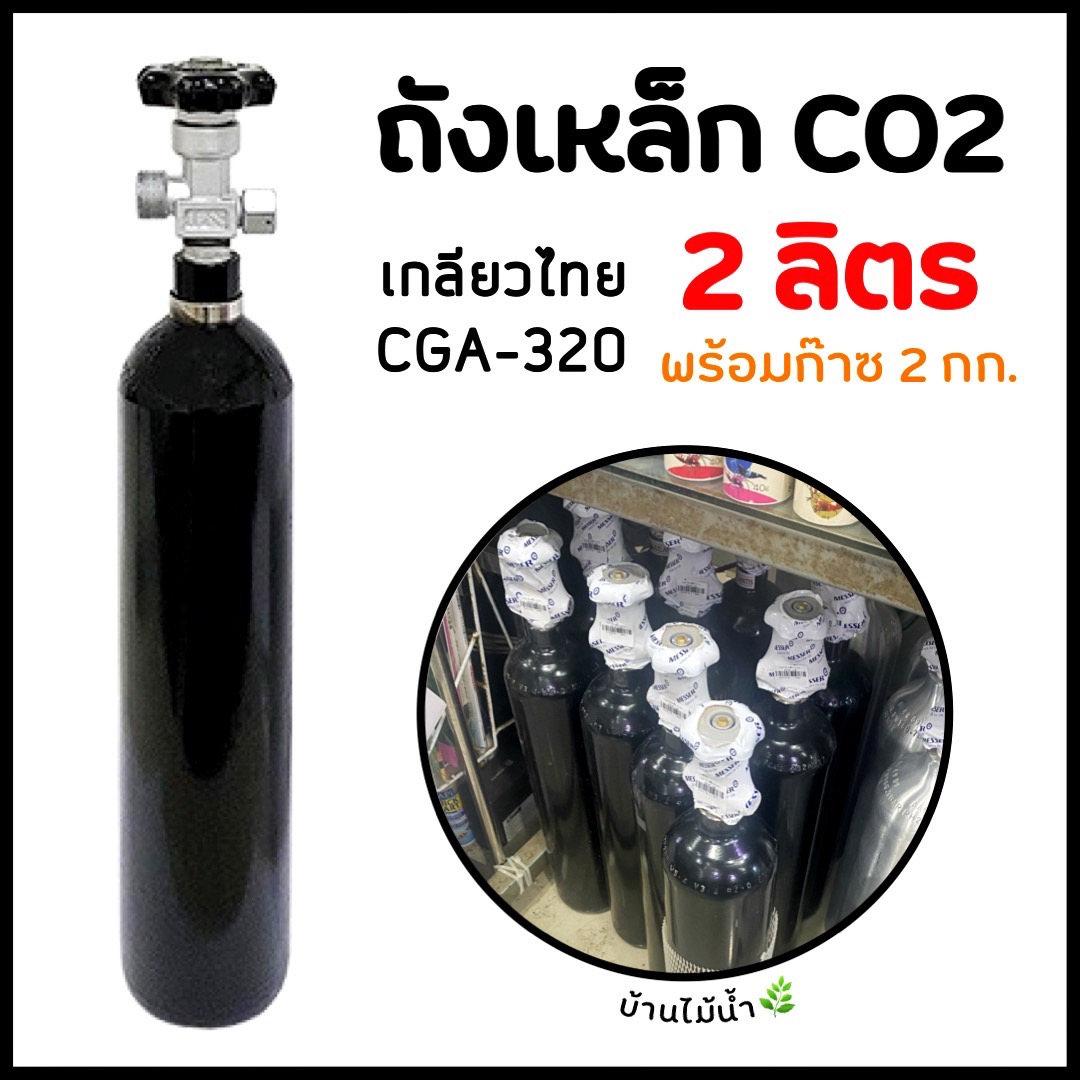 ถัง CO2 แบบเหล็ก พร้อมก๊าซ 2 กิโลกรัม ขนาด 2 ลิตร เกลียวไทย CGA-320 ...