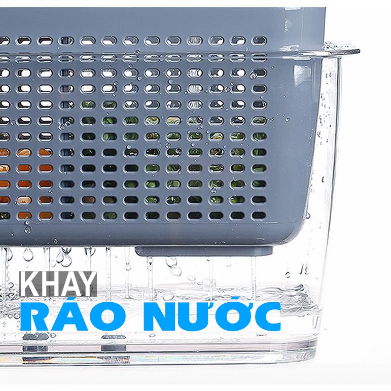 Combo 2 Hộp Đựng Thực Phẩm Hokori