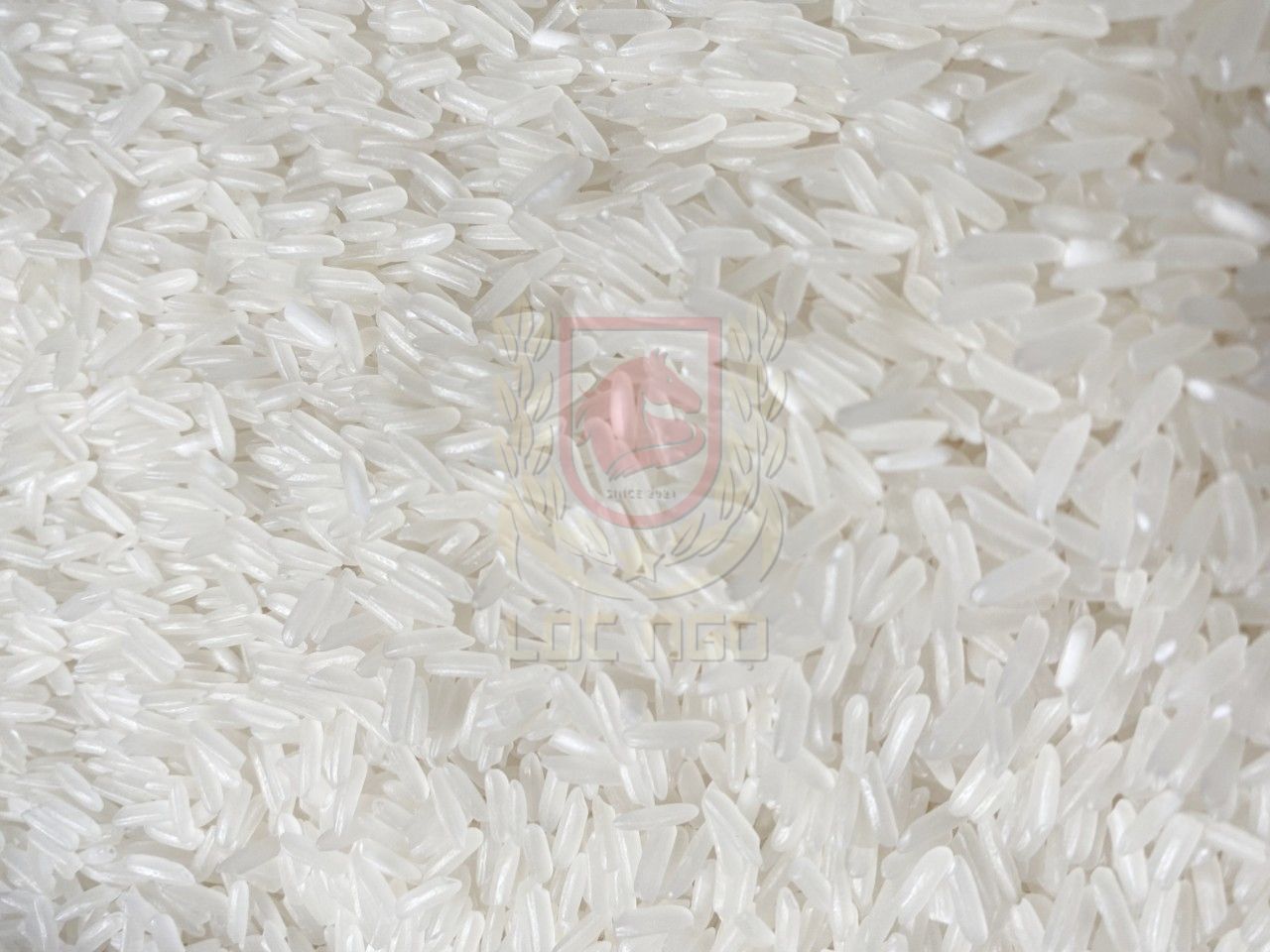 Gạo Nàng Hoa Gò Công - Túi 1kg [ mẫu thử Gạo Nàng Hoa Gò Công ]