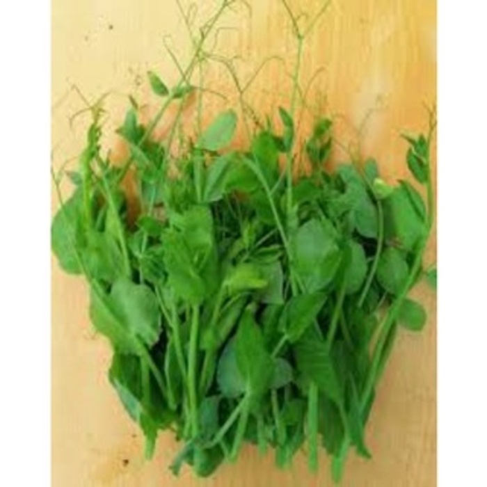 hạt giống đậu hà lan ăn lá