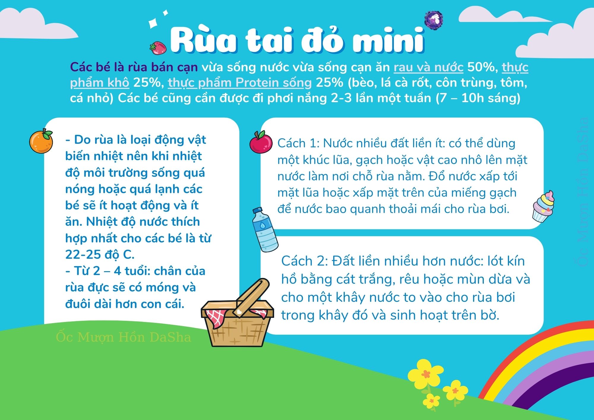 Cám nhỏ thức ăn cho rùa và ốc mượn hồn