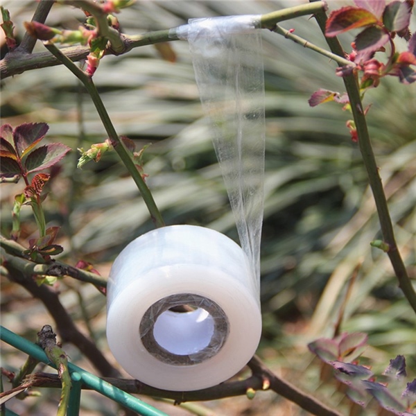 Branch filling adhesive tape