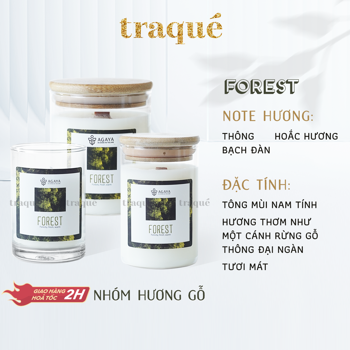 Nến thơm Agaya/Candle Cup - Hương Gỗ FOREST