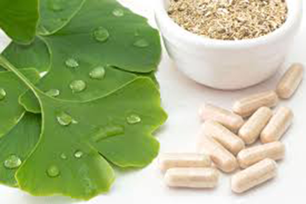 Bổ Não Ginkgo Biloba 340 Viên