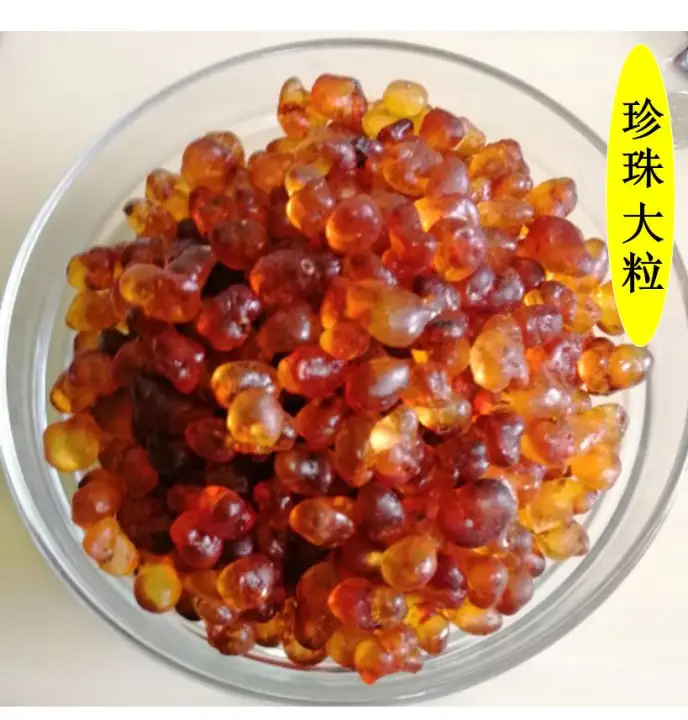 Peach Gum 500g Special Grade 特级 珍珠粒桃胶 Lazada Singapore