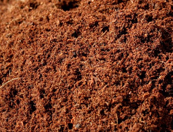 Mụn Dừa SFARM Đã Qua Xử Lí ! Túi 5Dm3 (1KG) !