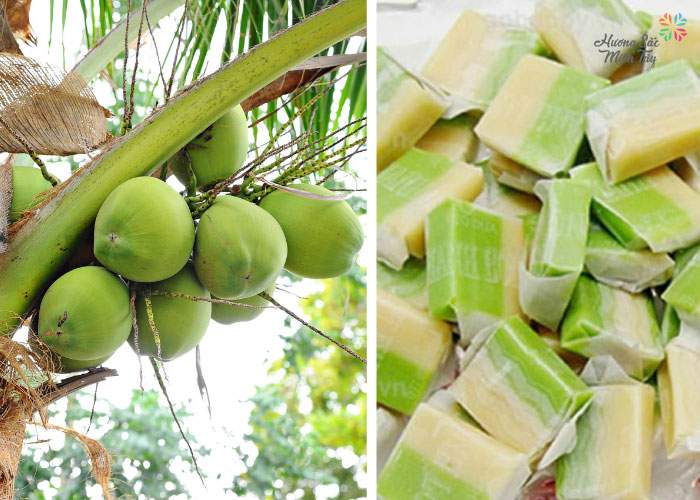 Kẹo Dừa Lá Dứa Sầu Riêng Hiệu Thanh Long (300g)