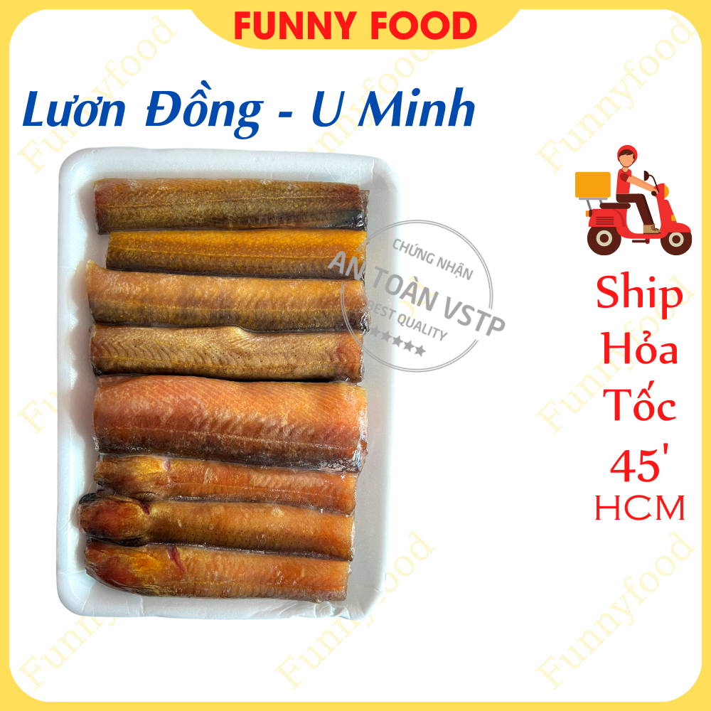 Lươn Đồng U Minh Lươn Đồng Cắt Khúc Làm Sạch Ship Hỏa Tốc HCM Funnyfood