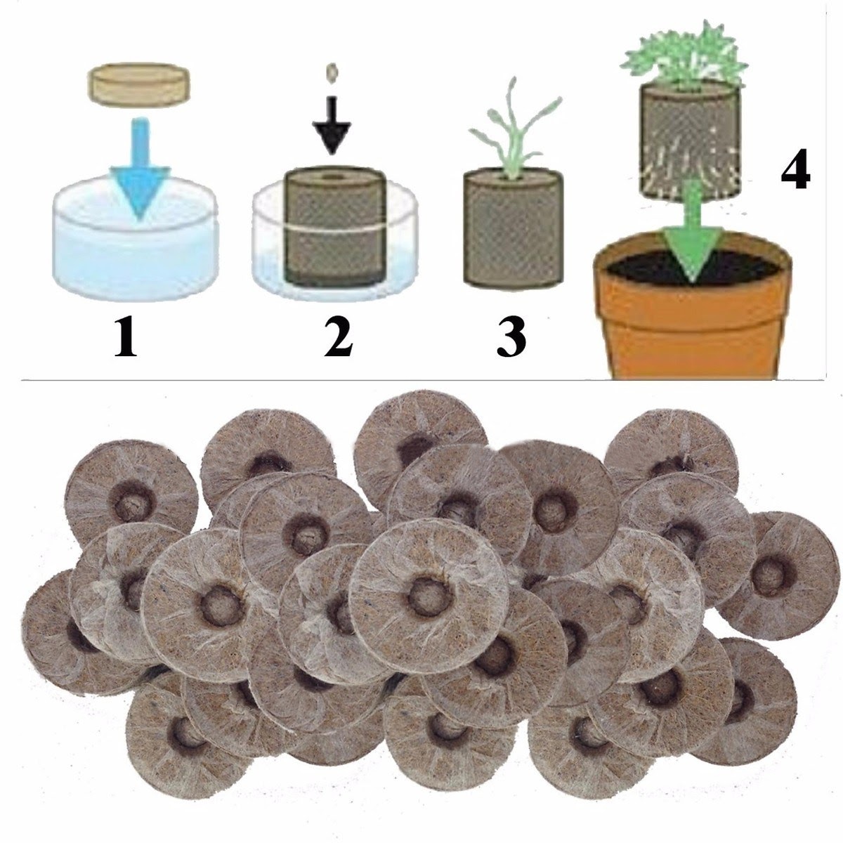 1 Viên nén xơ dừa ươm hạt giống